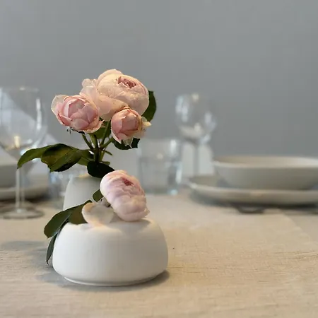 Saelzer شقة باد ساسيندورف